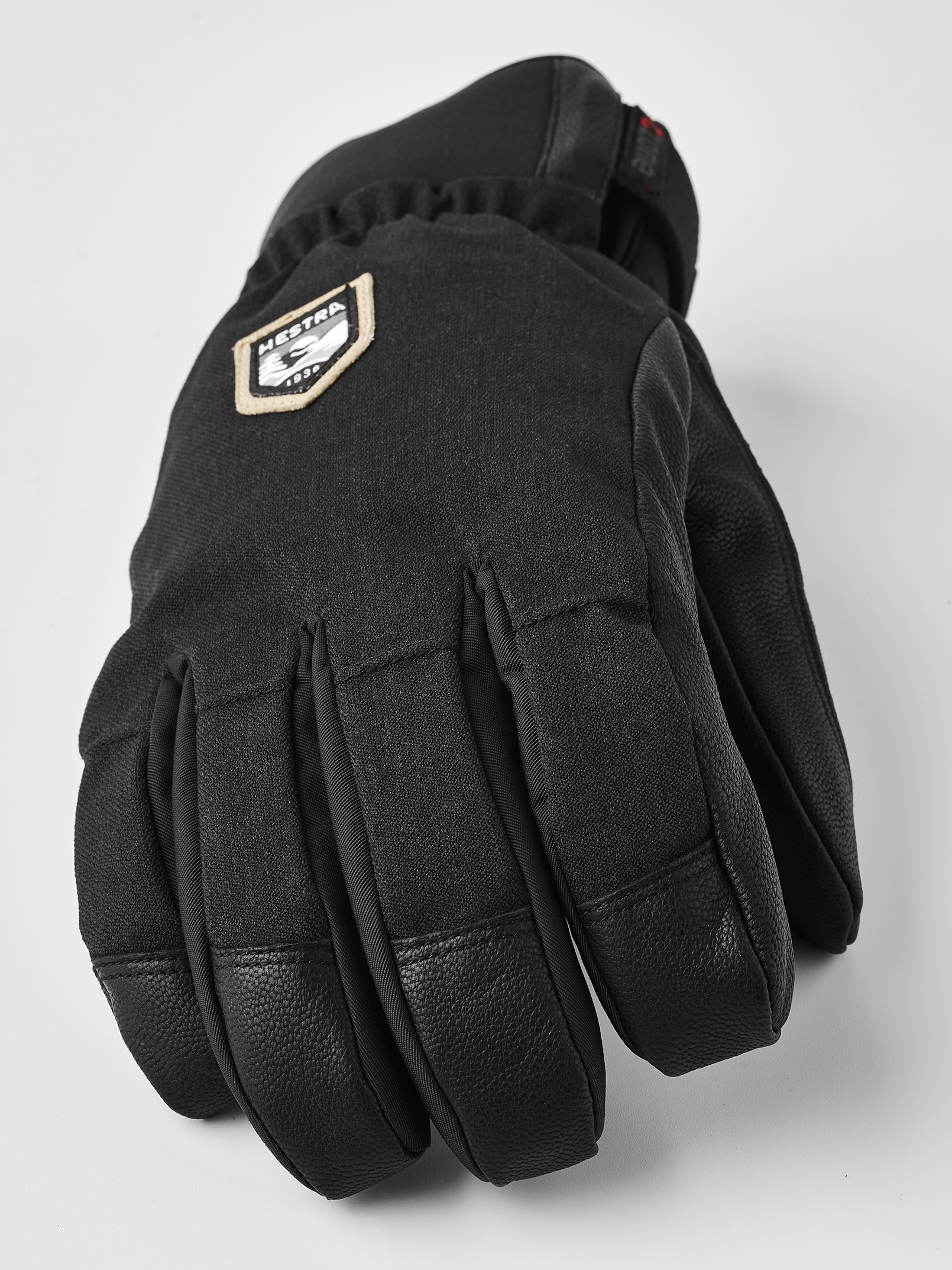 Hestra CZone Alpine - 5 finger Black