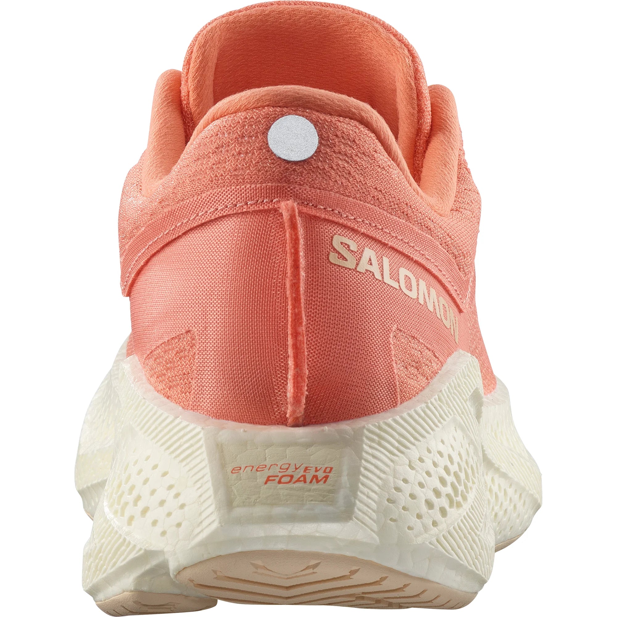 Salomon AERO GLIDE 3 W Fuco/Vanila/Tender