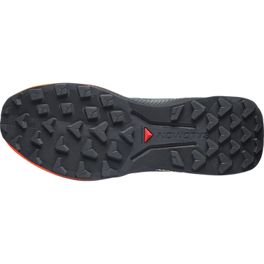 Salomon Genesis 2