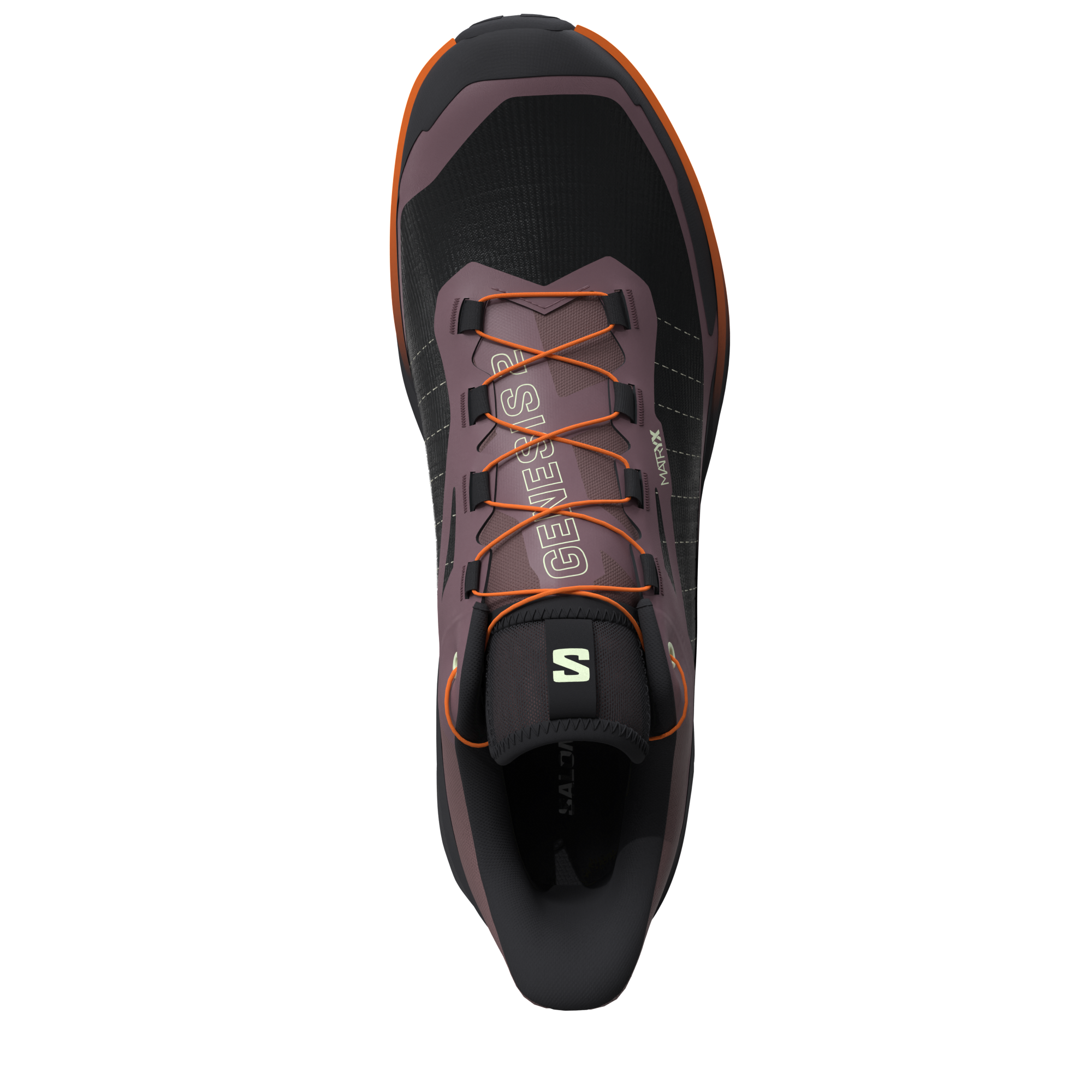 SALOMON GENESIS 2 W