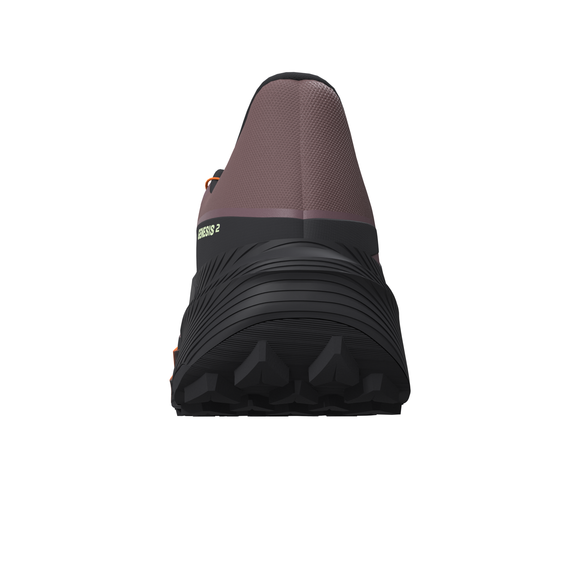 SALOMON GENESIS 2 W