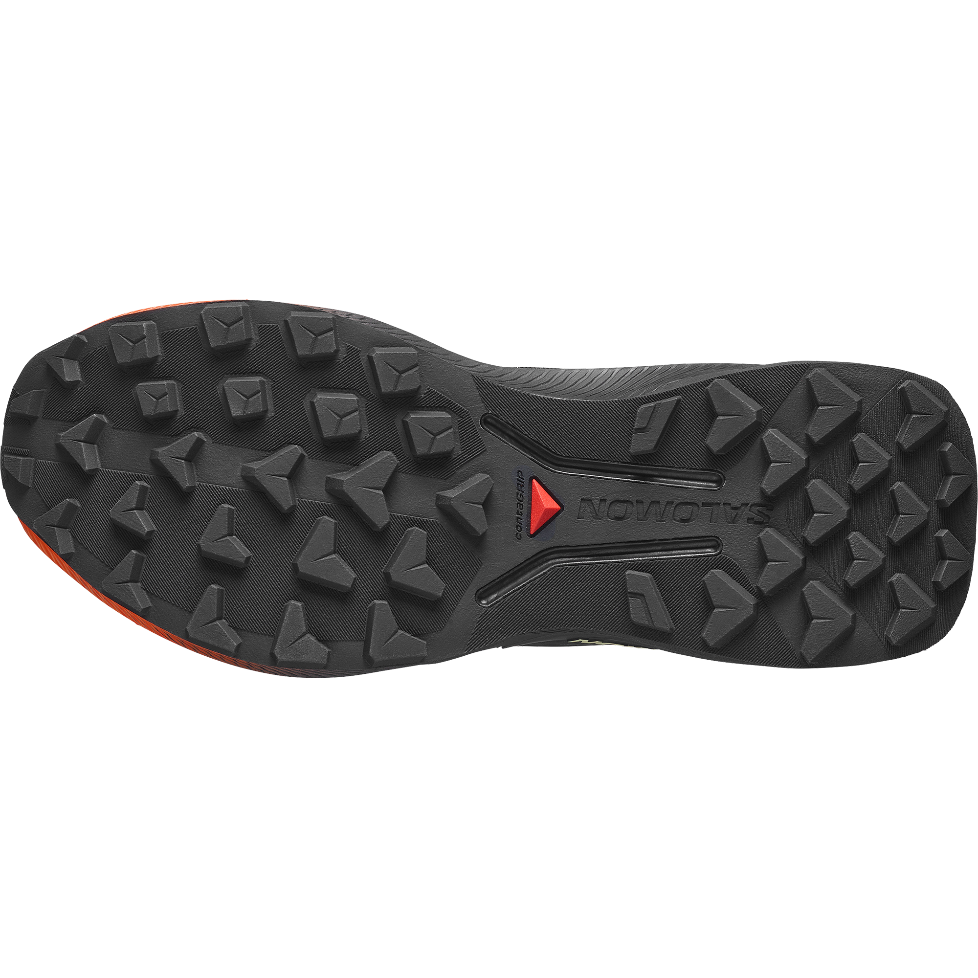 SALOMON GENESIS 2 W