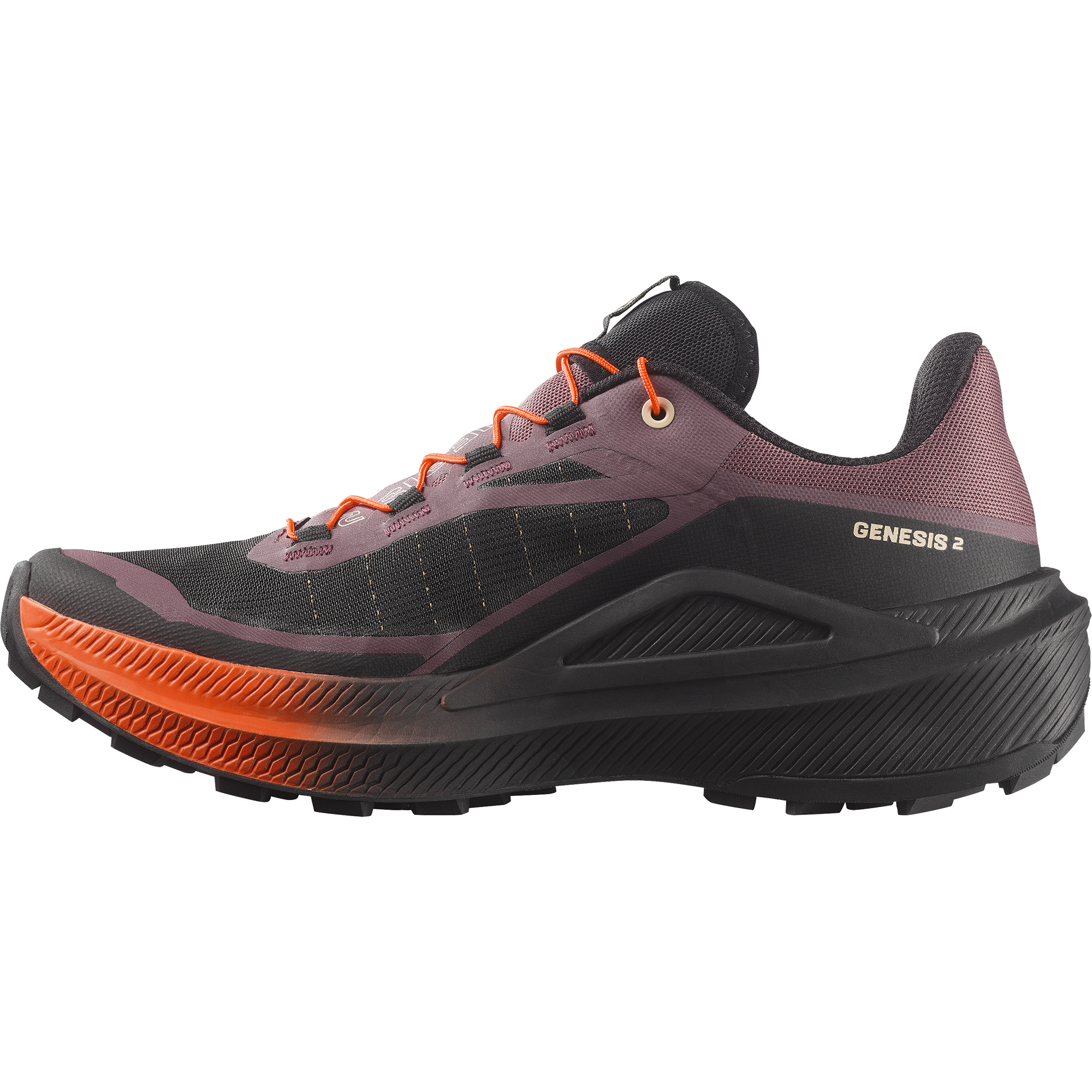 SALOMON GENESIS 2 W