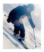 Salomon S/PRO ALPHA C BOA 115 W