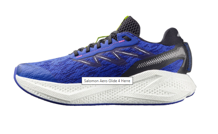Salomon AERO GLIDE 4 Bluing