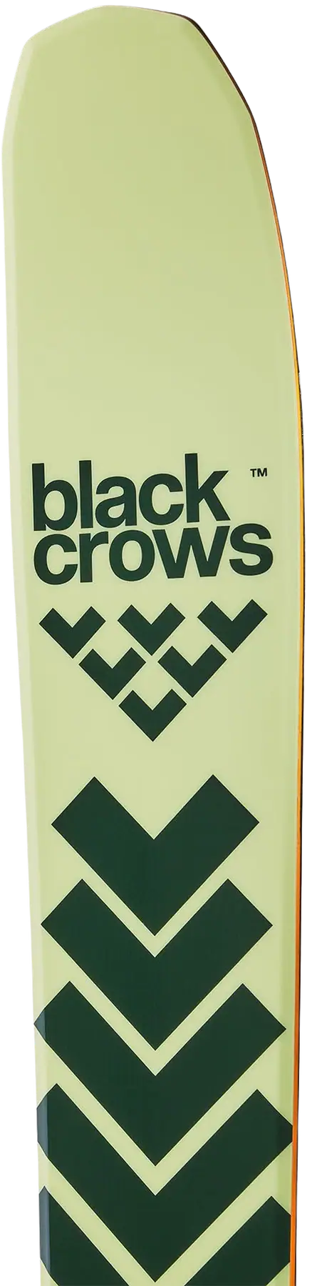 Black Crows Anima